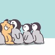 风语541的个人资料头像