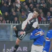 罗非鱼不吃罗带鱼头像