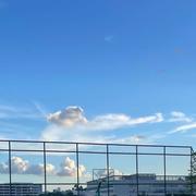 钟加胜的个人资料头像