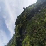 用户2603318117939头像