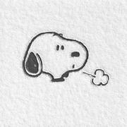 平头小哥的个人资料头像