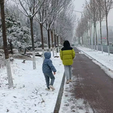 老马家的小马呀头像