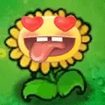 码仔_的个人资料头像