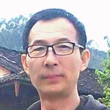 安图梧桐头像