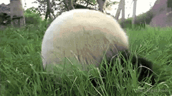 背不全唐诗三百首的个人资料头像