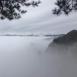 向往6341头像
