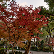 DT的个人资料头像