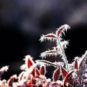 用户5748507771941的个人资料头像