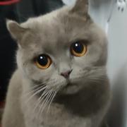 未知的未知的个人资料头像