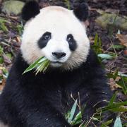 冲浪网友的个人资料头像