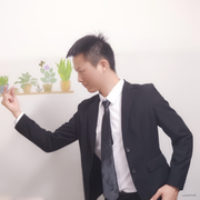 飞翔中的燕鸥的个人资料头像