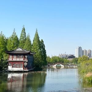 小熊go头像