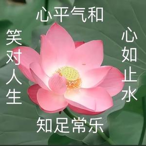 李莲花你要长命百岁！！！头像