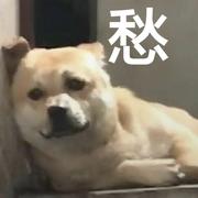Richm的个人资料头像