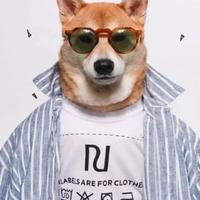 用户5743855278531头像