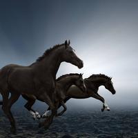 用户3976201034061头像