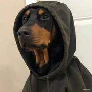 阳光De守望者的个人资料头像