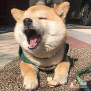 用户1825560861951的个人资料头像