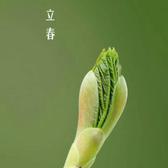 CHENG665751头像