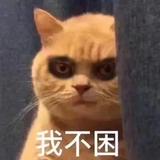 沙井梅菜头像
