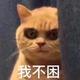沙井梅菜头像