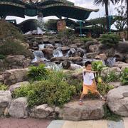 z1的个人资料头像