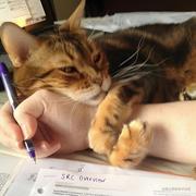 花影常客的个人资料头像