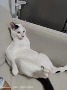 Bug消费者的个人资料头像