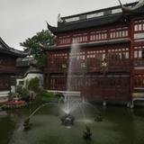haidxu头像