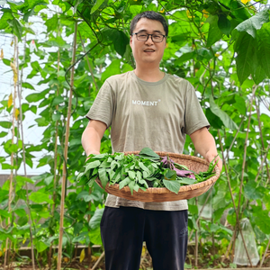 小林种植记（楼顶菜园）头像