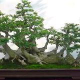 用户8281825731255头像