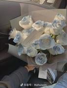 你的小北的个人资料头像