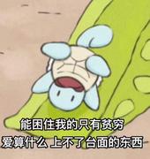 溯舟的个人资料头像