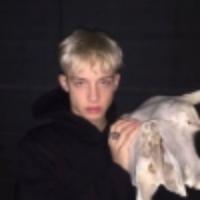 雨后的空气吖头像