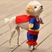 marixh的个人资料头像