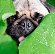 biglong的个人资料头像