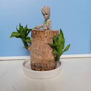 deeping的个人资料头像