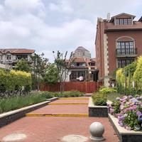 肖家边的江娃子头像