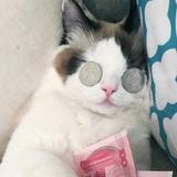 れい75头像