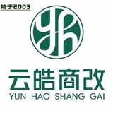 潍坊云皓改装膜小二旗头像