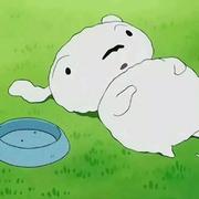 长高长高的个人资料头像