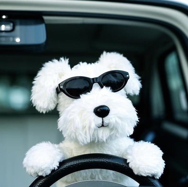 大乔沉浸试车头像