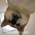 用户1127694352601头像