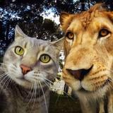 用户4258477184623头像