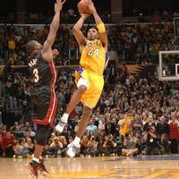 科比布莱恩特9501头像