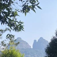 淡定小T头像