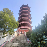 率真鲸鱼MC头像