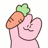 爱生活的威廉头像