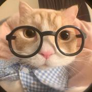 用户8677838260512的个人资料头像