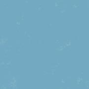 L6的个人资料头像